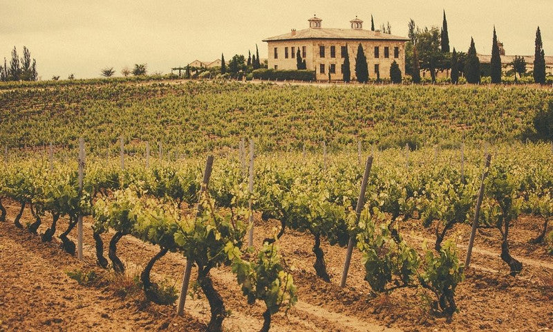 Vega Sicilia