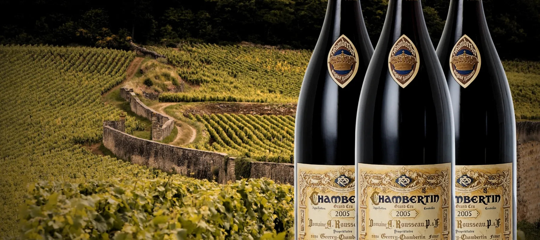 /collections/domaine-armand-rousseau